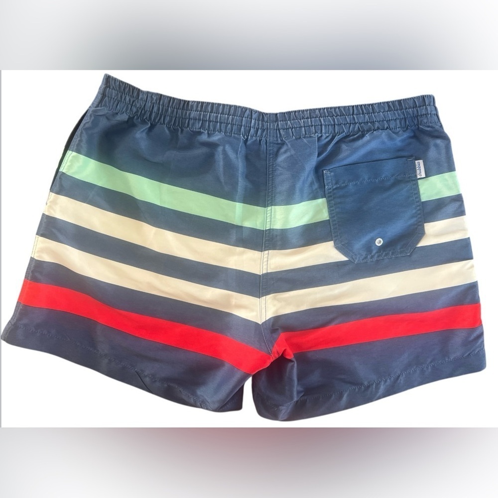 CHUBBIES -QUICK DRY multiple stripes, swim trunks - Picture 8 of 11